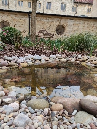 Photo of Fellow's Garden pond