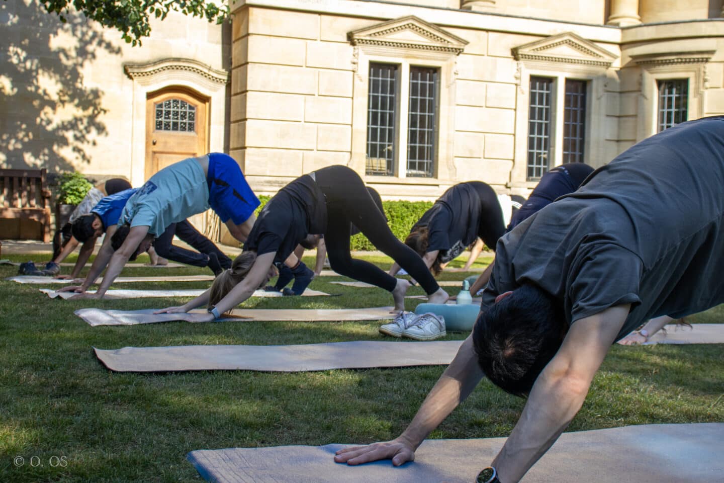 Lincoln College students in downward dog pose during an outdoor yoga session in the Rector’s Garden. Yoga mats are spaced across the lawn, with the College’s classical stone façade and arched windows providing a sunlit backdrop.