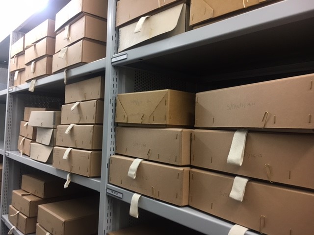 Boxes on the shelves of the Archive