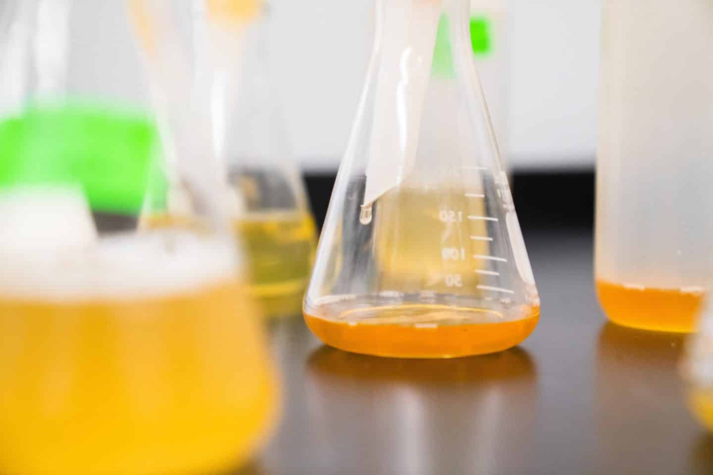 A yellow liquid in several beakers