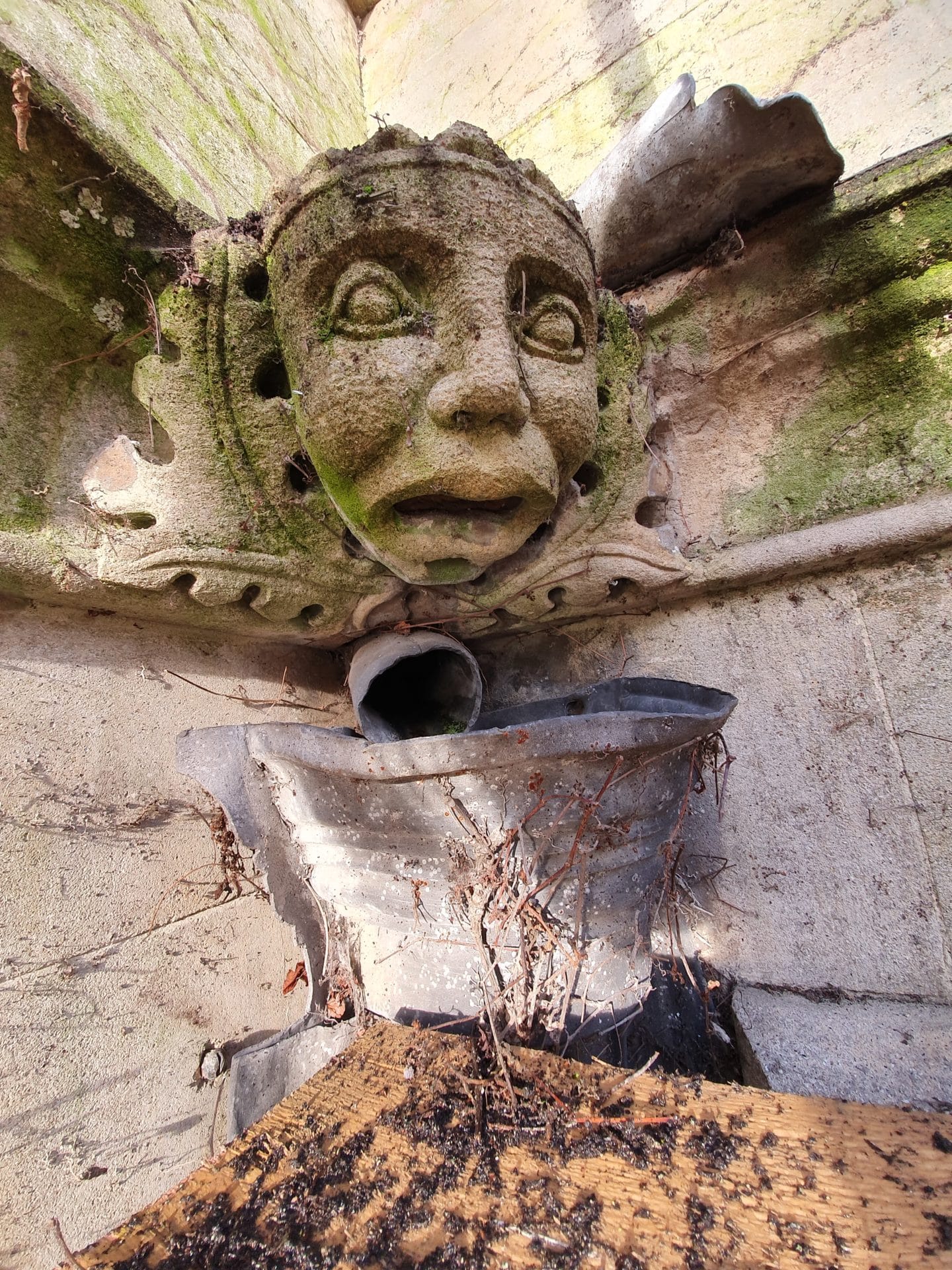 Grotesque over the drain in Front Quad