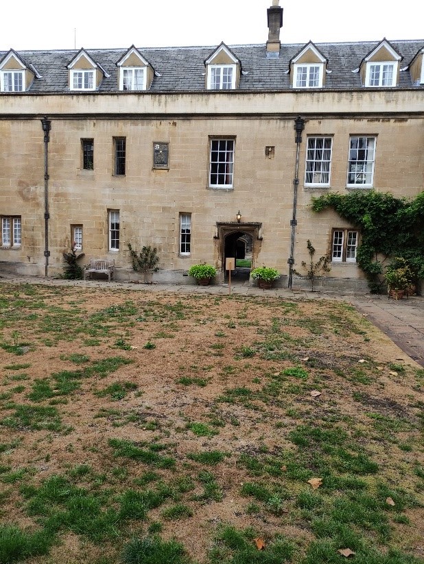 A very patchy lawn/quad in front of an old building