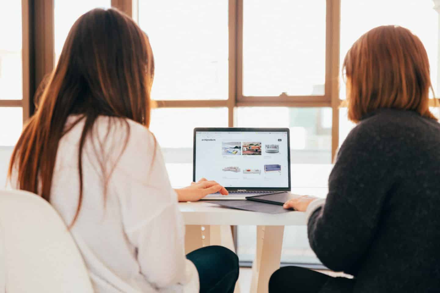 E-mentoring - two women looking at a laptop