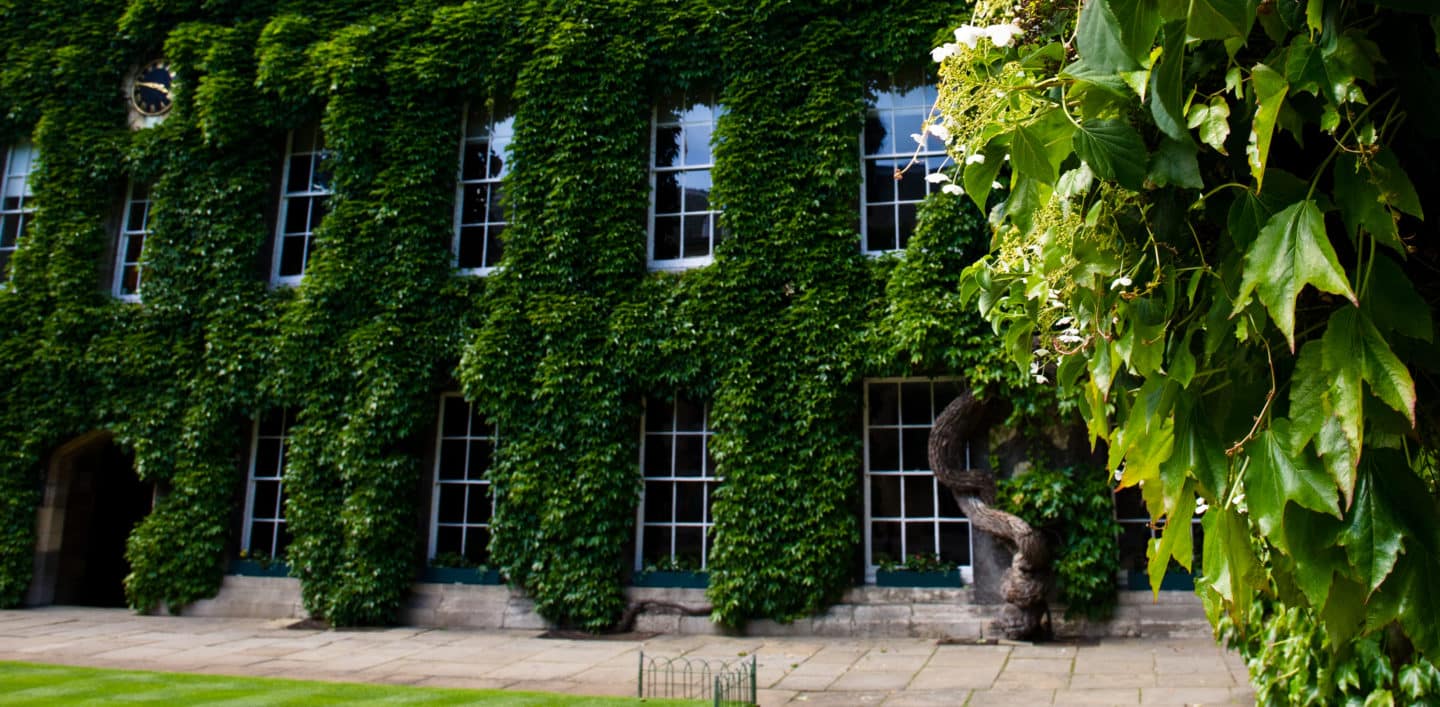 Lincoln College Front Quad covered in bright green ivy