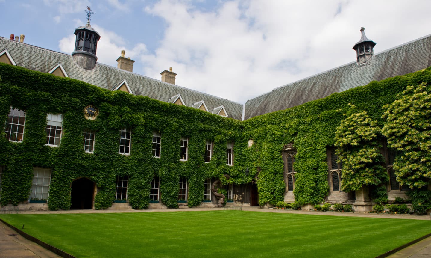 Front Quad in the summer