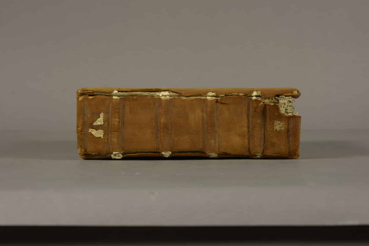 A 12th century manuscript, closed to display its damaged leather spine