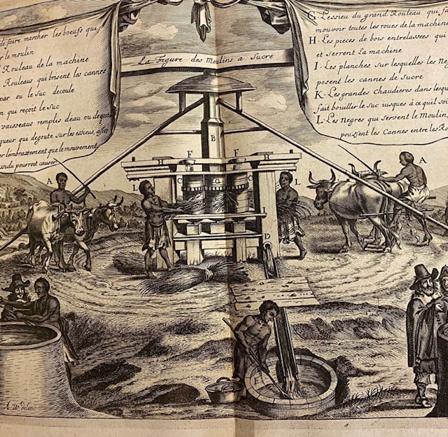 An image of indigenous people from the Antilles making sugar in a mill from Histoire naturelle et moral des iles Antilles de l’Amerique (1665)