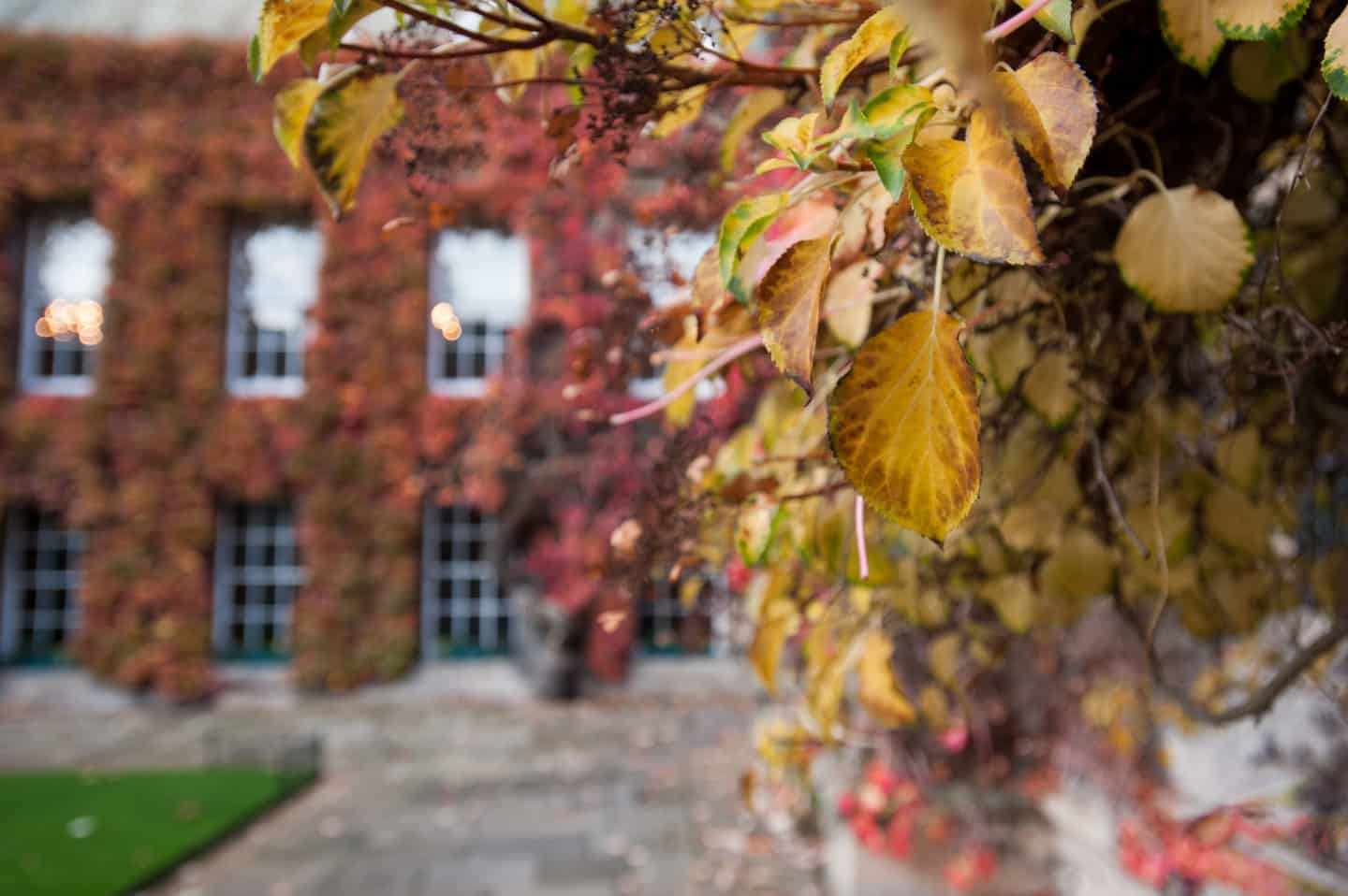 Lincoln College Front Quad with autumnal ivy