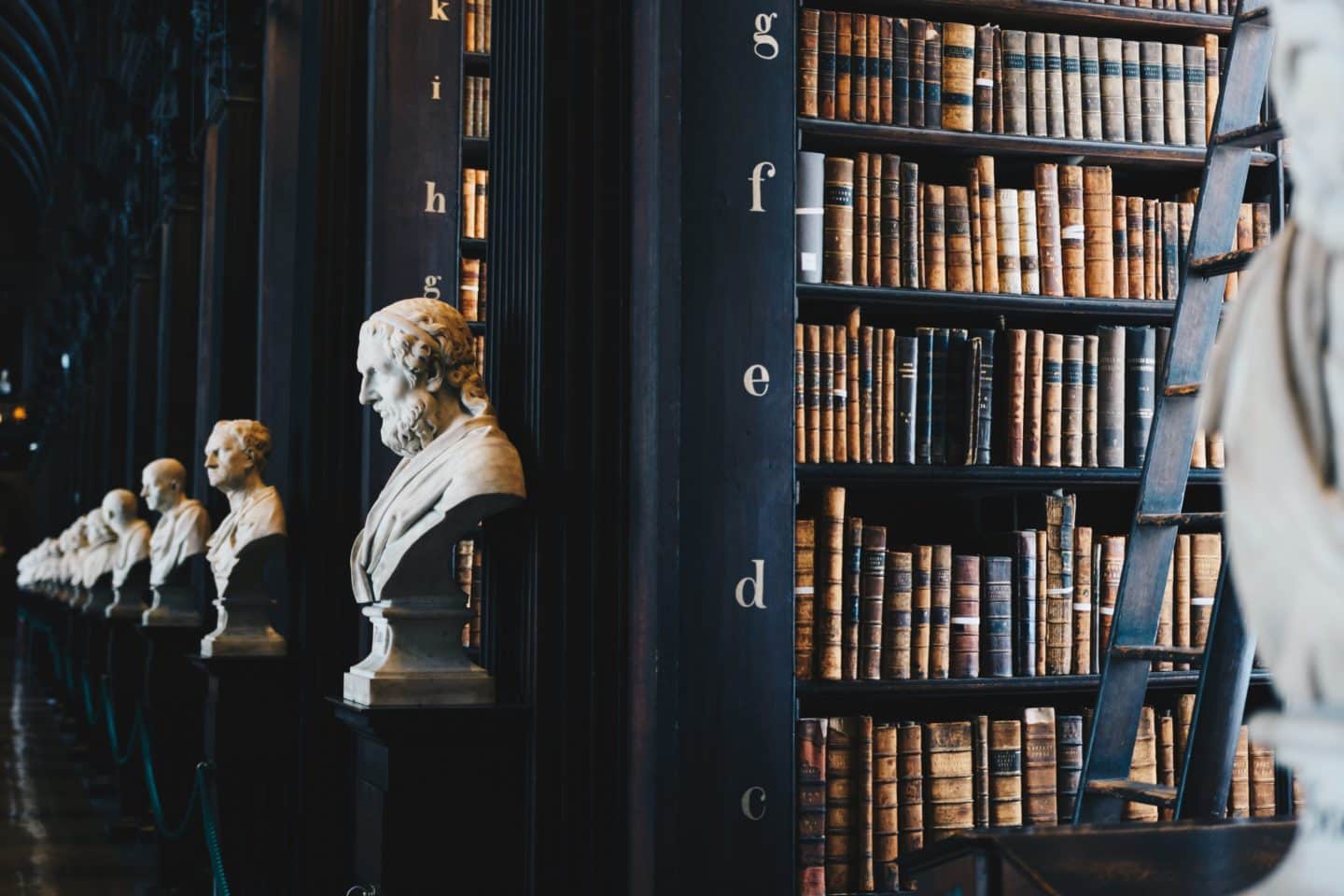 Library with busts beside bookshelves