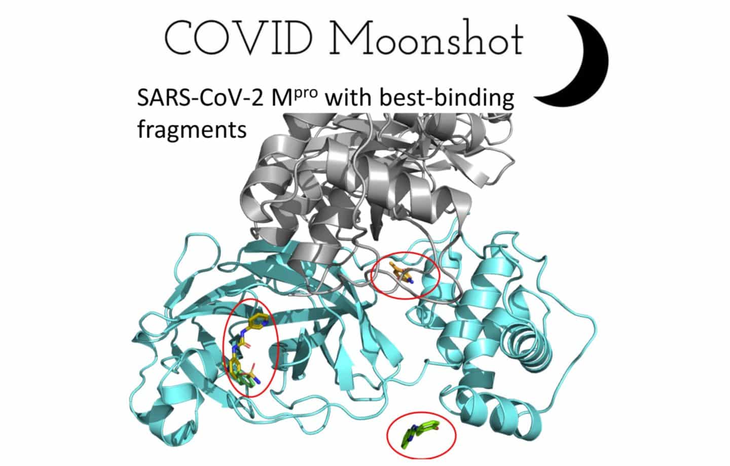 COVID Moonshot. SARS-CoV-2 Mpro with best-binding fragments, with an illustration underneath